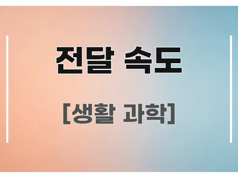 전달 속도 전문가가 선별한 읽기 좋은 정보 카드