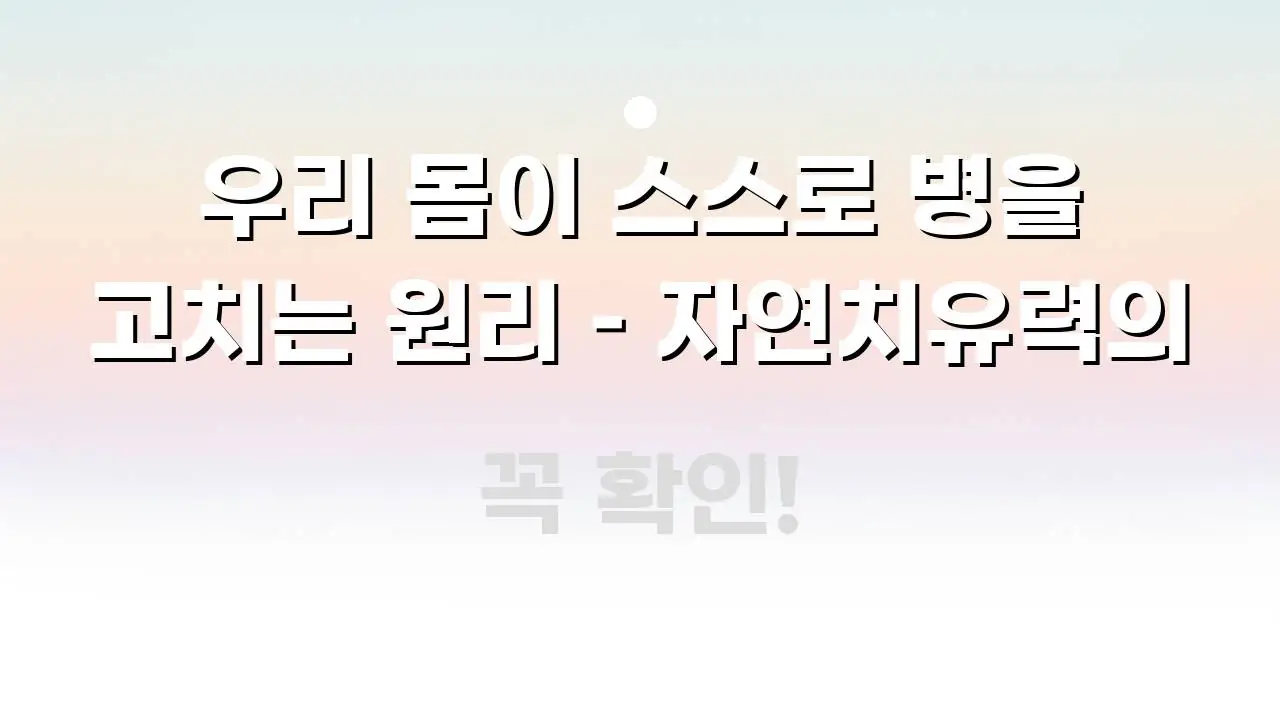 우리 몸이 스스로 병을 고치는 원리 – 자연치유력의 꼼꼼하게 정리된 블로그 섹션 구분 이미지 - 가독성을 높이는 이미지