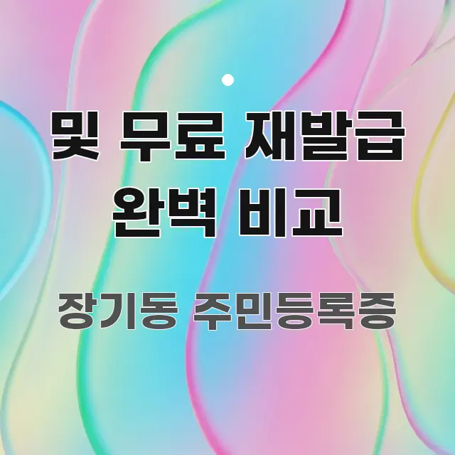 및 무료 재발급 완벽 비교 바로 활용 가능한 정보 요약 인포그래픽 이미지 - 참고용 이미지