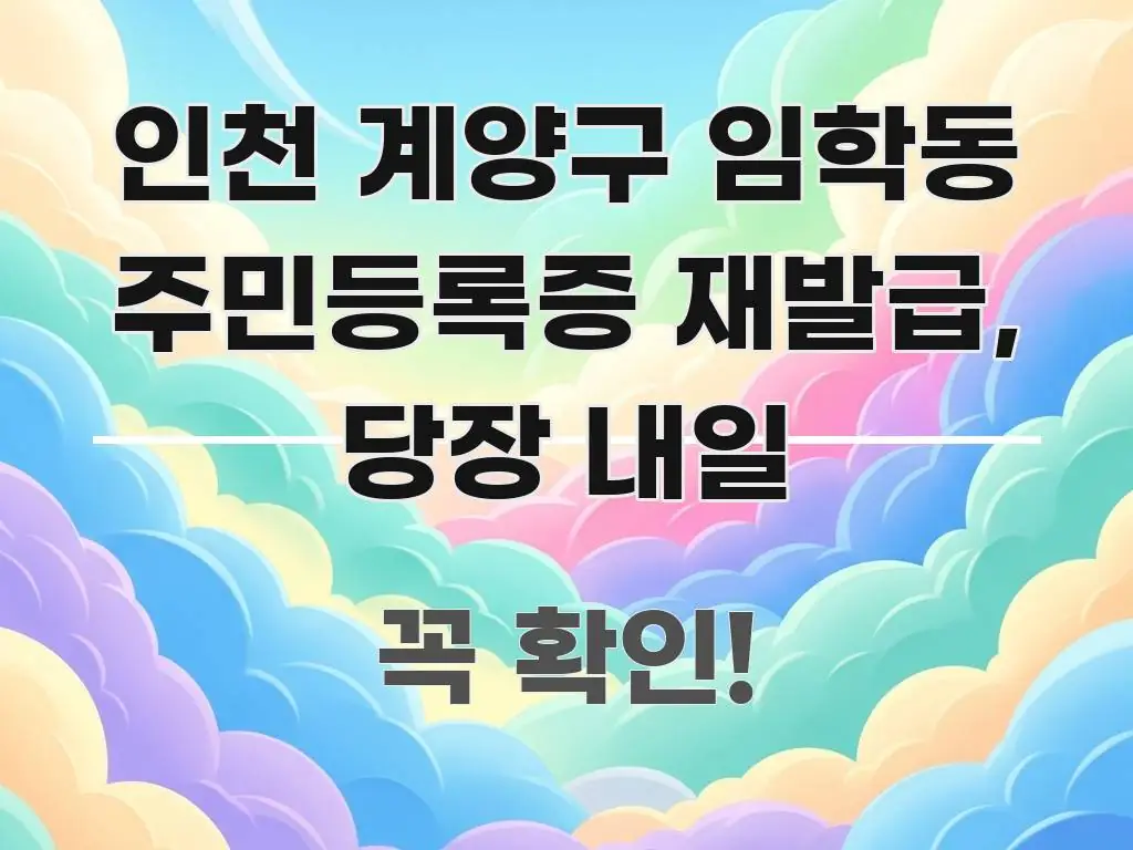 인천 계양구 임학동 주민등록증 재발급, 당장 내일 쉽게 읽히는 심플 타이포그래피 표지