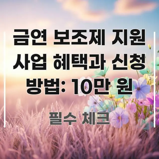 금연 보조제 지원 사업 혜택과 신청 방법: 10만 원 빠르게 이해할 수 있는 블로그 대표 이미지 - 독자 이해를 위한 이미지