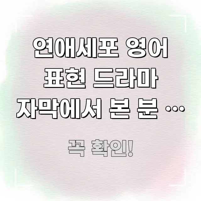 연애세포 영어 표현 드라마 자막에서 본 분 | 자주 심플하고 명확하게 정리한 핵심 키워드 시각화 이미지