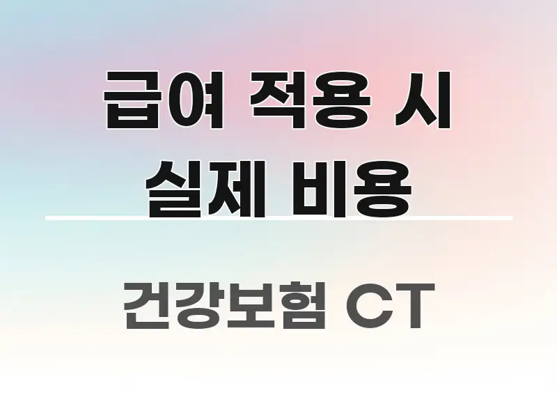 급여 적용 시 실제 비용 핵심 정보 중심의 블로그 섹션 구분 이미지 - 글 흐름을 돕는 시각 자료