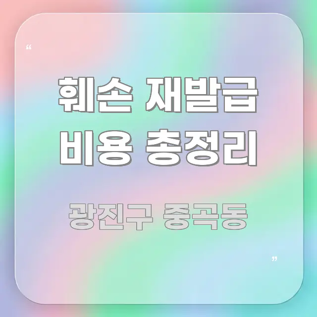 훼손 재발급 비용 총정리 심플하고 명확하게 정리한 핵심 정보 비주얼