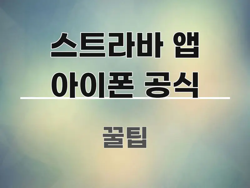 스트라바 앱 아이폰 공식 중요 내용만 뽑은 텍스트 포스터 이미지 - 가독성을 높이는 이미지