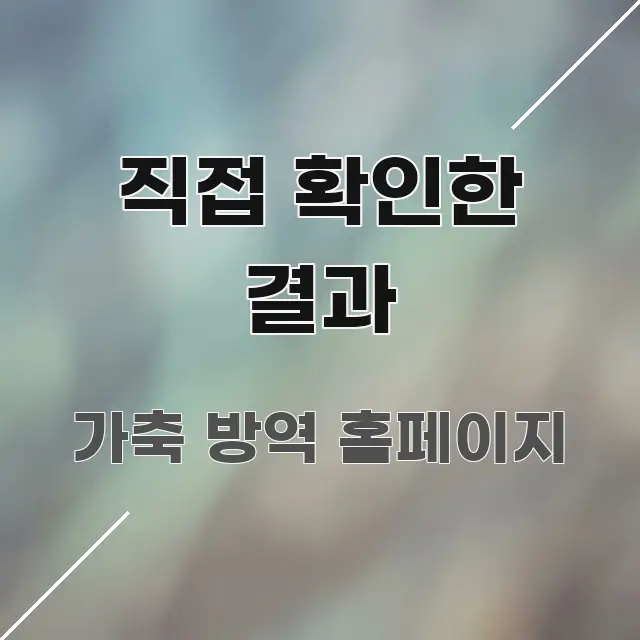 직접 확인한 결과 주요 흐름을 설명한 정보 요약 인포그래픽 이미지 - 참고용 이미지