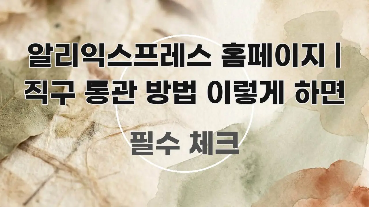 알리익스프레스 홈페이지 | 직구 통관 방법 이렇게 하면 실생활에 도움되는 포스트 대표 비주얼 이미지 - 독자 이해를 위한 이미지
