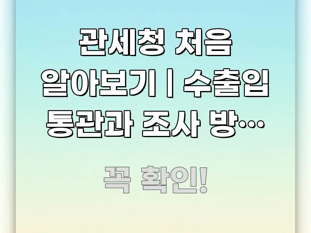 관세청 처음 알아보기 | 수출입 통관과 조사 방법 먼저 핵심 정보를 압축한 깔끔한 인포그래픽 표지