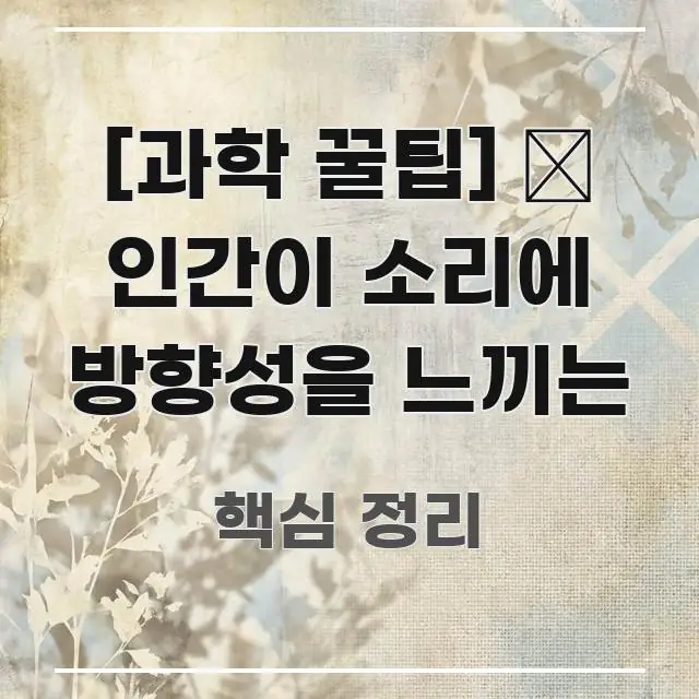 [과학 꿀팁] 🧠 인간이 소리에 방향성을 느끼는 빠르게 이해할 수 있는 포스트 대표 비주얼 이미지 - 참고용 이미지