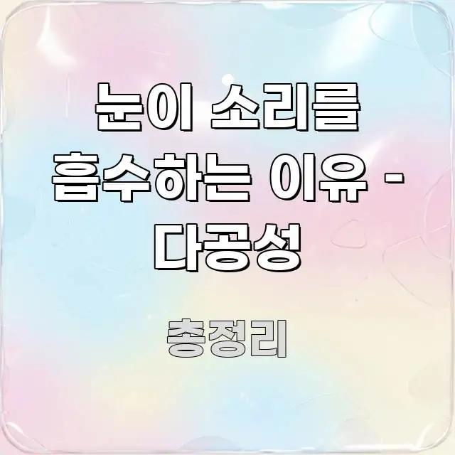 눈이 소리를 흡수하는 이유 – 다공성 구조적으로 정리된 핵심 요약 디자인 카드
