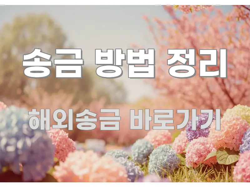 송금 방법 정리 핵심 요약 송금 방법 정리 핵심 키워드 중심의 정보 정리 카드 이미지 - 글 흐름을 돕는 시각 자료