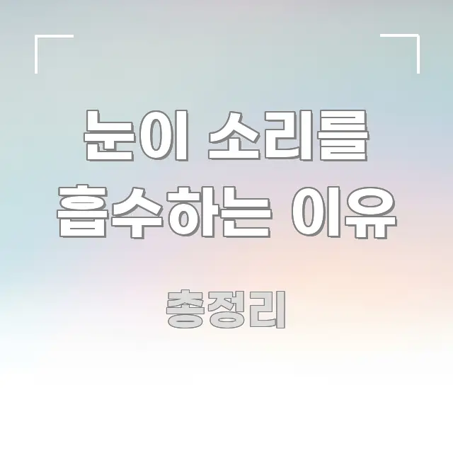 눈이 소리를 흡수하는 이유 정보 이미지 눈이 소리를 흡수하는 이유 스마트하게 정리된 블로그 섹션 구분 이미지 - 내용 요약을 위한 이미지