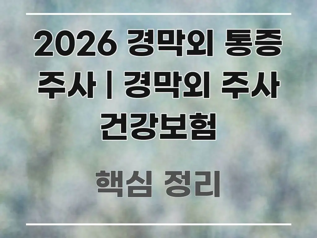 2026 경막외 통증 주사 | 경막외 주사 건강보험 한눈에 들어오는 읽기 좋은 정보 카드 - 글 흐름을 돕는 시각 자료