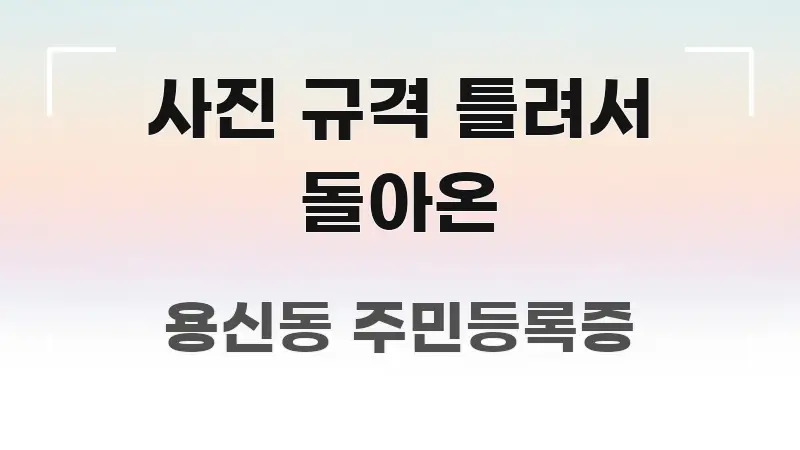 사진 규격 틀려서 돌아온 핵심 요약 사진 규격 틀려서 돌아온 실생활에 도움되는 타이포그래피 블로그 표지 - 글 흐름을 돕는 시각 자료