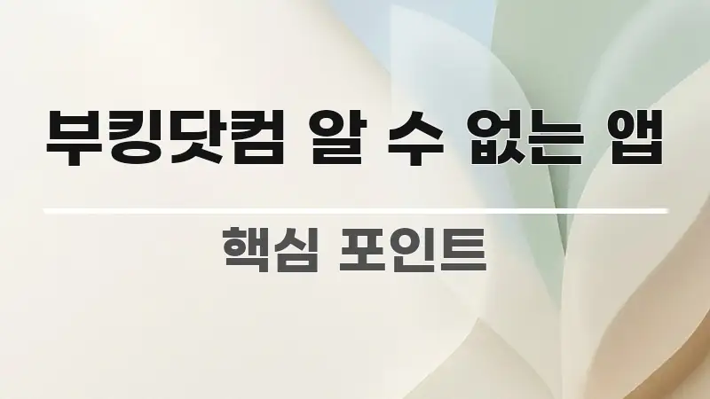 부킹닷컴 알 수 없는 앱 정보 이미지 부킹닷컴 알 수 없는 앱 구조적으로 정리된 가독성 높은 정보 이미지 - 참고용 이미지