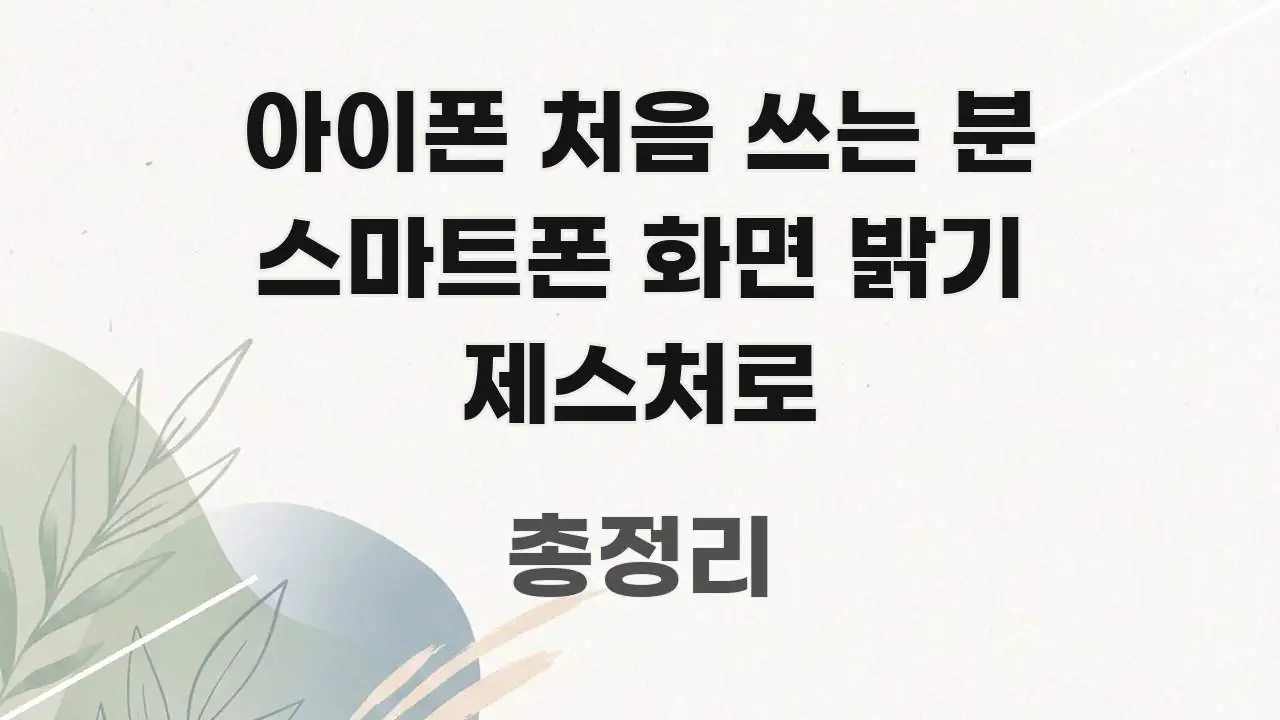 아이폰 처음 쓰는 분 스마트폰 화면 밝기 제스처로 효율적으로 구성된 정보 요약 인포그래픽 이미지 - 참고용 이미지