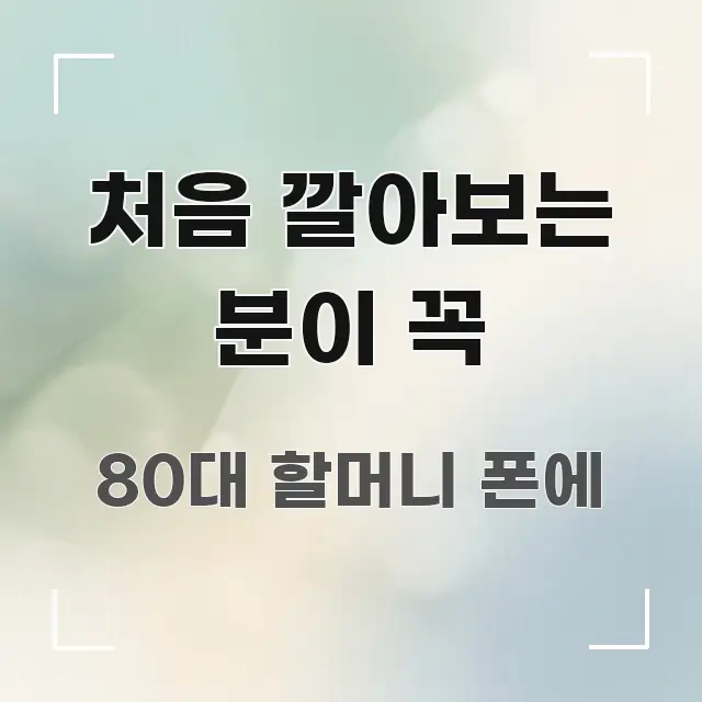 처음 깔아보는 분이 꼭 핵심 요약 처음 깔아보는 분이 꼭 전문가가 선별한 정보 요약 인포그래픽 이미지 - 글 흐름을 돕는 시각 자료