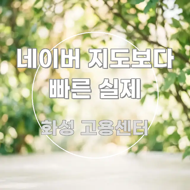 네이버 지도보다 빠른 실제 핵심 요약 네이버 지도보다 빠른 실제 알기 쉽게 정리한 콘텐츠 요약 표지 이미지