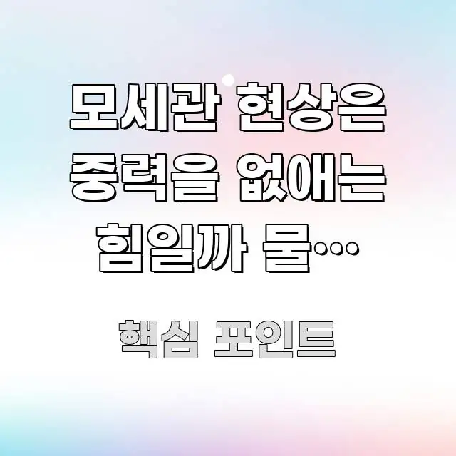 모세관 현상은 중력을 없애는 힘일까 물이 오르는 네 흐름을 잡아주는 핵심 정리 썸네일 이미지 - 내용 요약을 위한 이미지