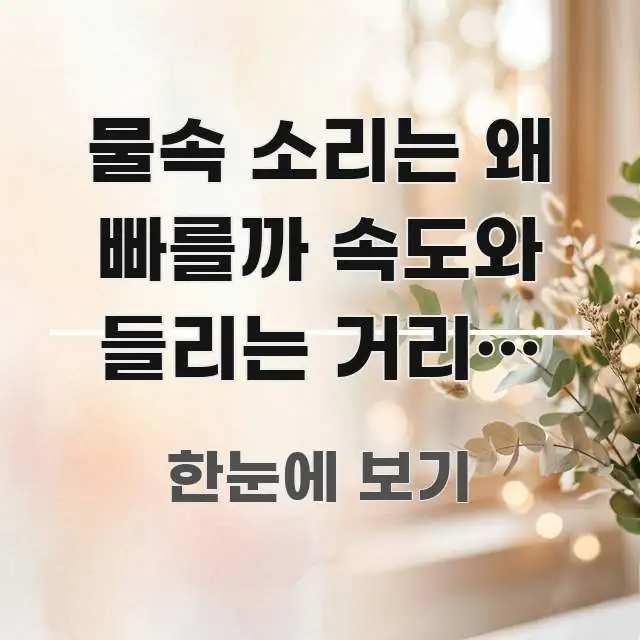 물속 소리는 왜 빠를까 속도와 들리는 거리를 나누자 쉽게 읽히는 깔끔한 인포그래픽 표지